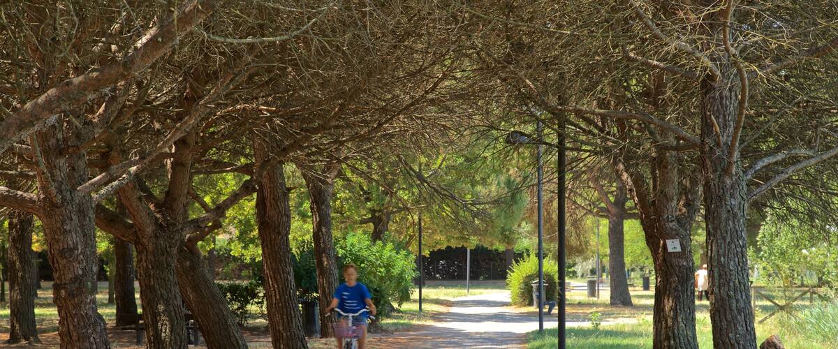 Parco del Gelso mostrando um parque e ciclismo