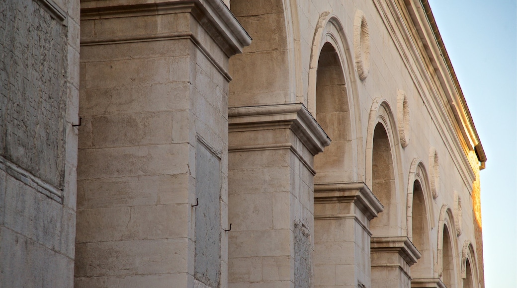 Basilica Cattedrale showing heritage elements