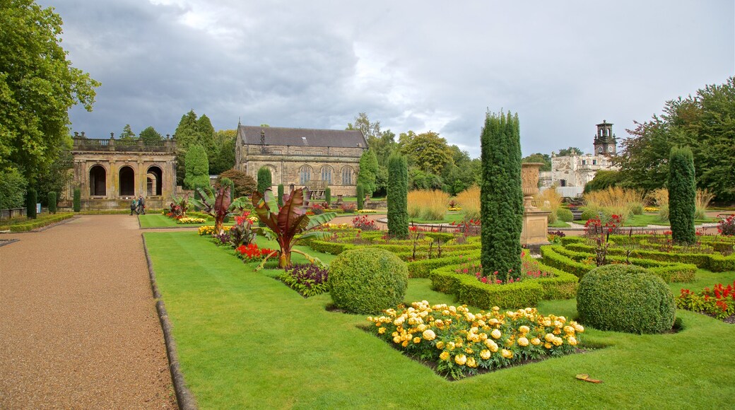Trentham Gardens showing a park, wildflowers and flowers