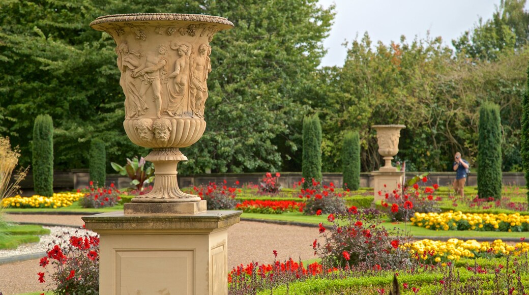 Trentham Gardens showing wildflowers, flowers and a park