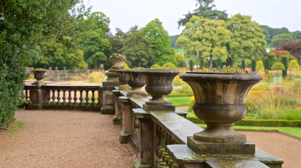 Trentham Gardens som viser park