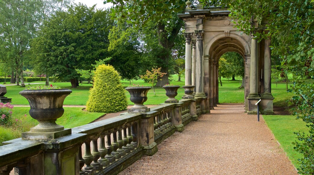 Trentham Gardens featuring a park