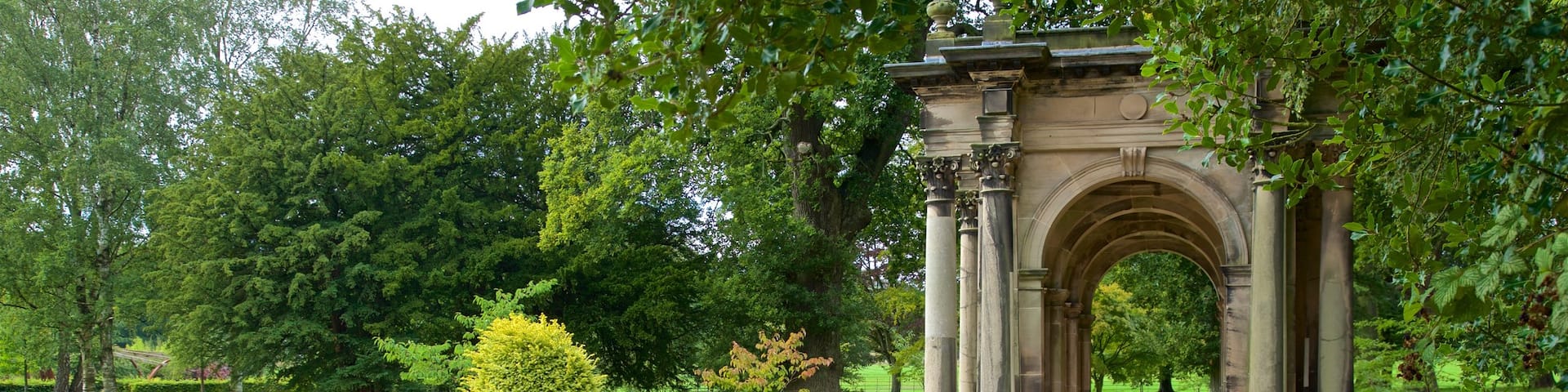 Trentham Gardens montrant jardin
