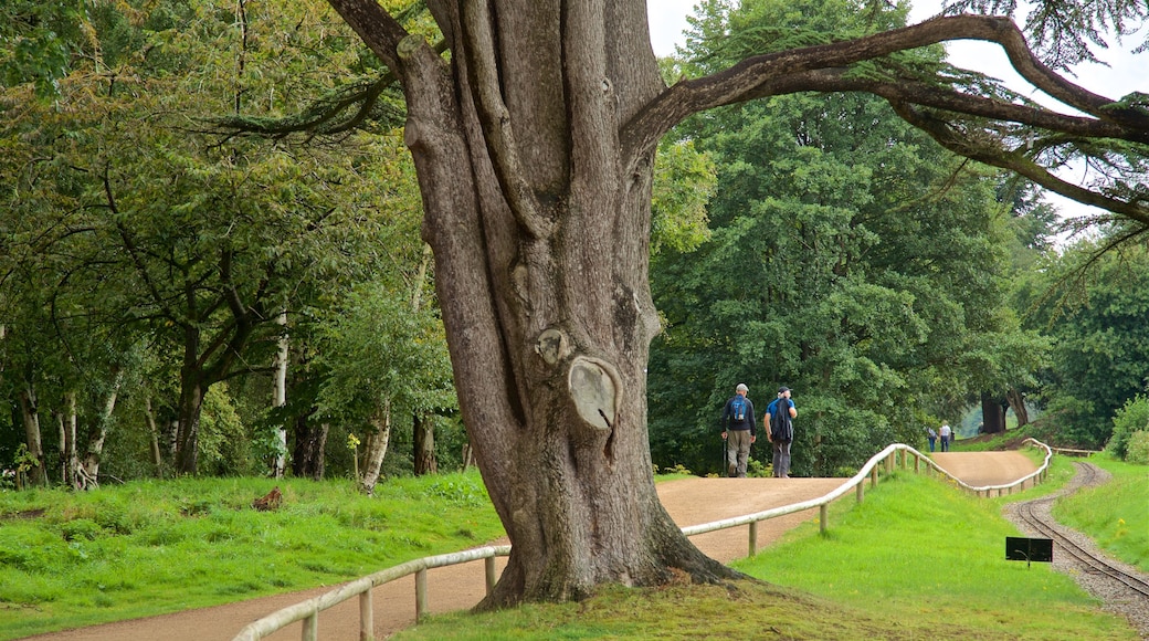 Trentham Gardens showing a garden as well as a couple