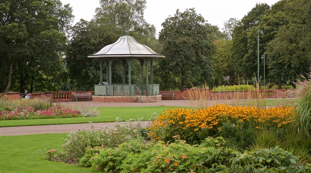 Burslem Park caracterizando um parque e flores silvestres