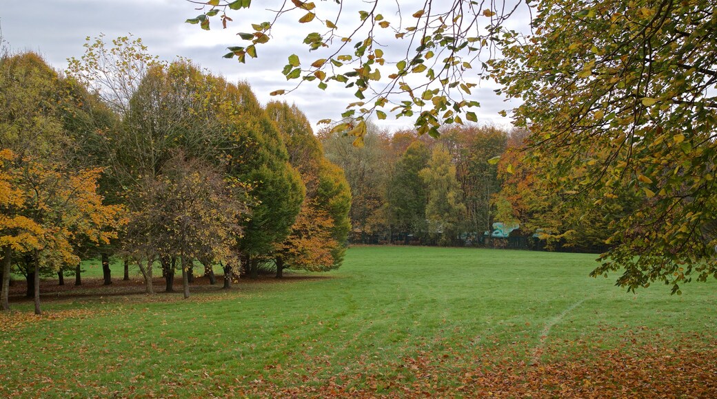 Telford Town Park toont herfstkleuren en een park