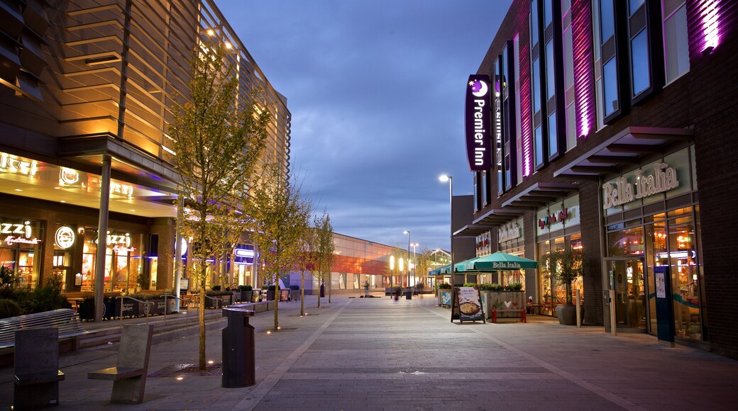 Telford che include paesaggio notturno