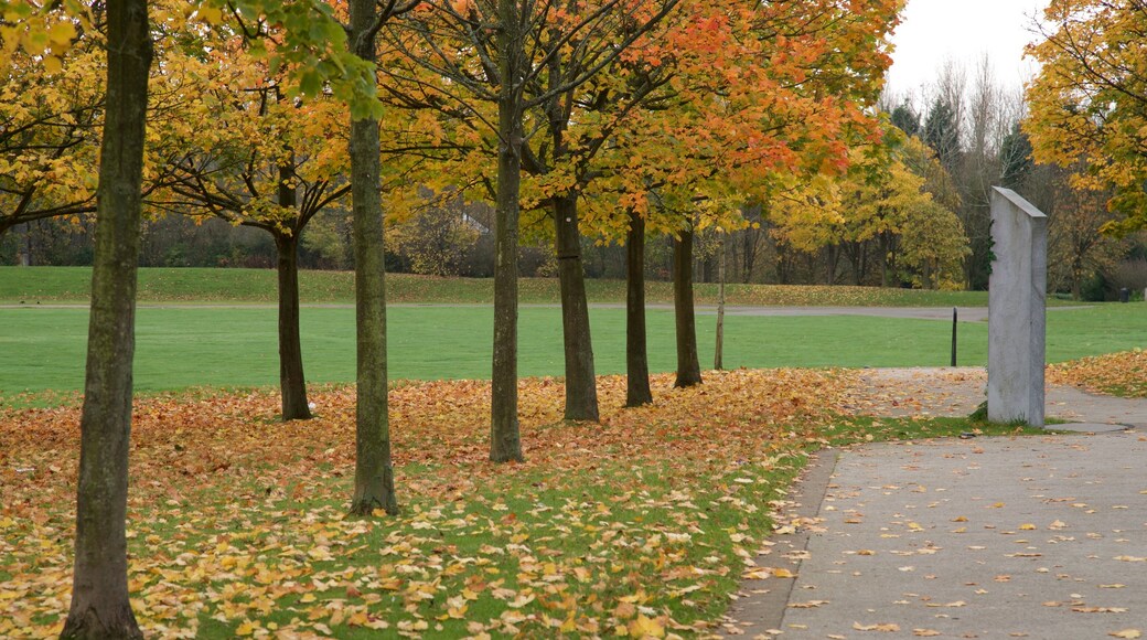 Telford Town Park which includes autumn leaves and a garden