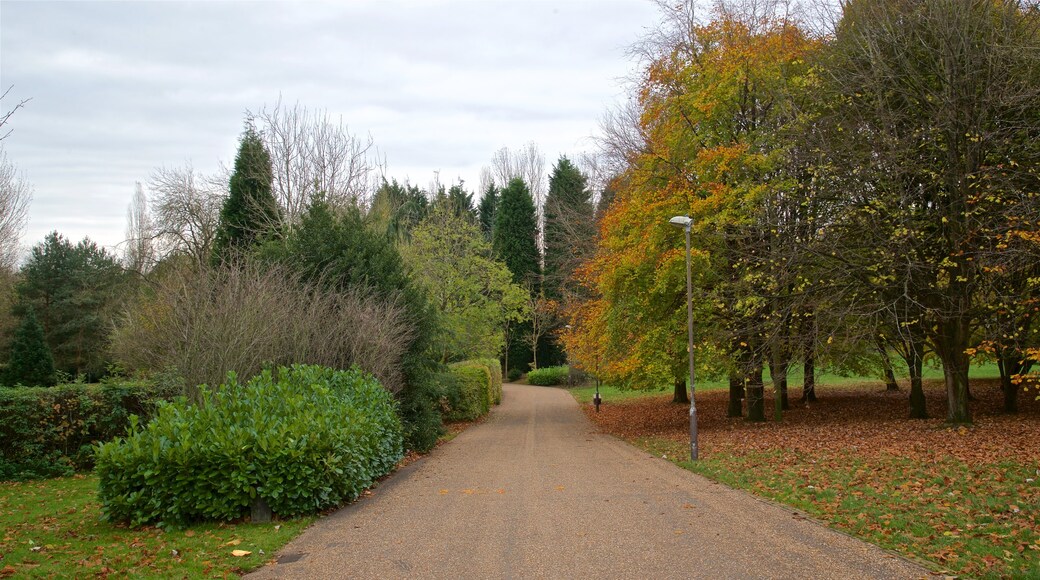 Telford Town Park featuring autumn leaves and a garden