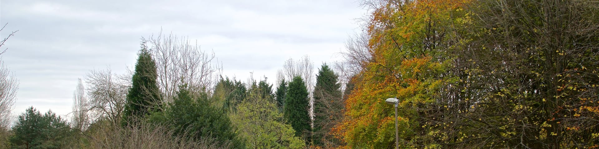 Telford Town Park showing a park and autumn colours