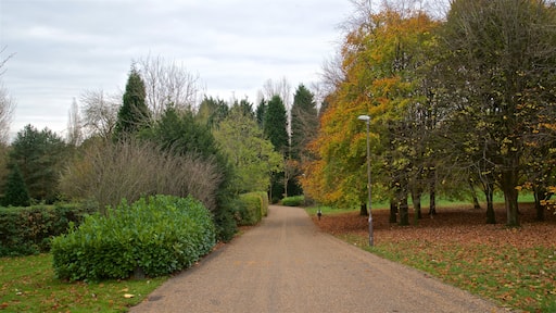 Parque recreativo de Telford ofreciendo jardín y hojas de otoño