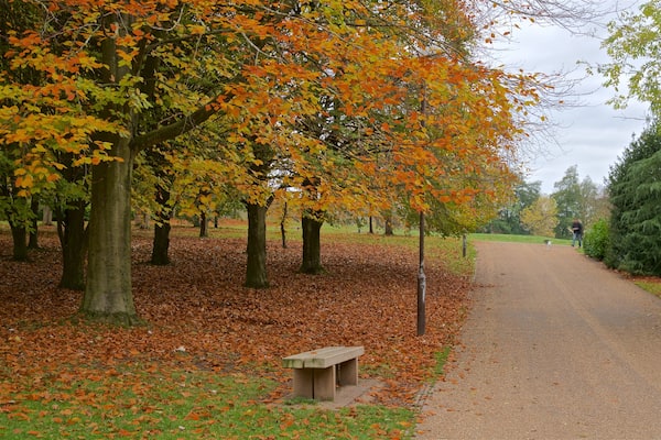 Parc municipal de Telford montrant feuilles d\'automne et parc