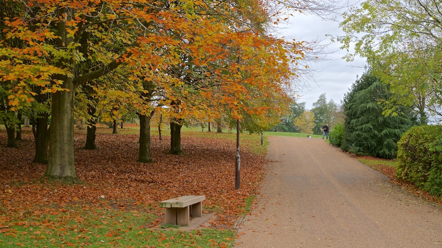 Telford Town Park showing autumn leaves and a garden