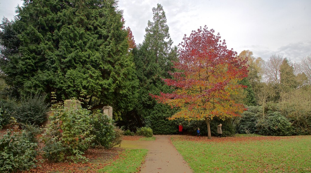 Coventry qui includes parc et couleurs d\'automne