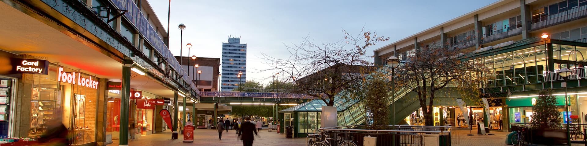 Coventry featuring night scenes