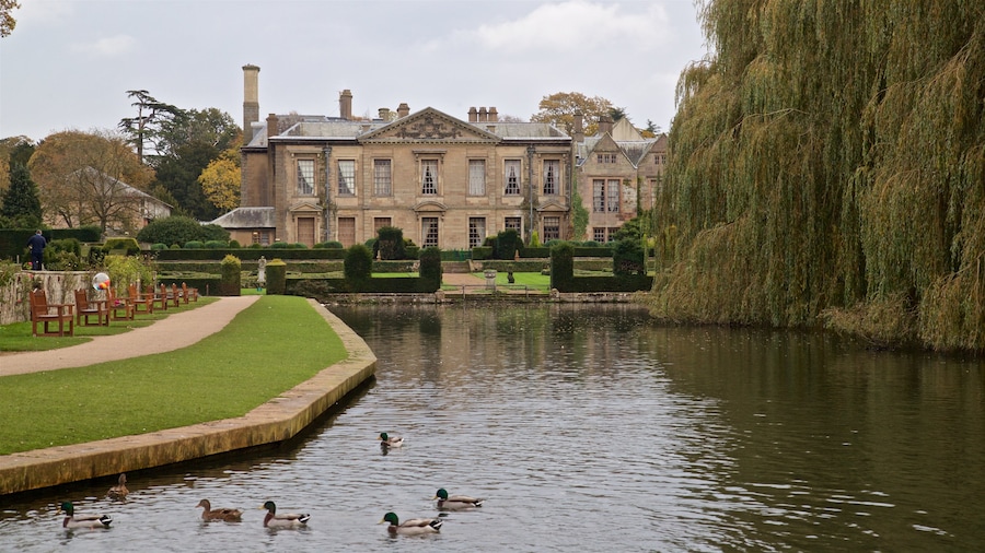Coombe Abbey Country Park mostrando vida das aves, uma casa e um lago