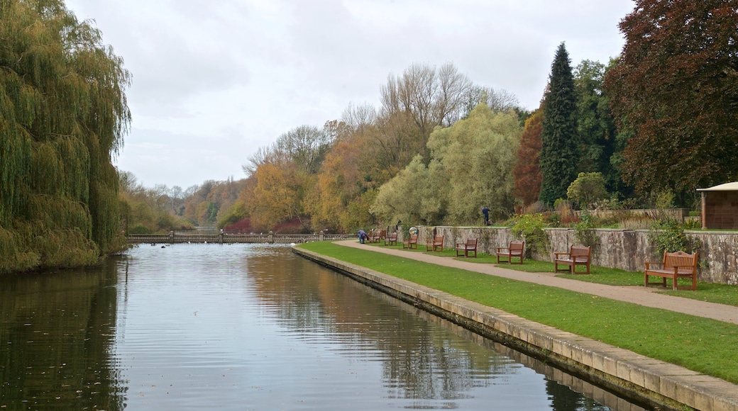 Coombe Abbey Country Park mostrando giardino e fiume o ruscello