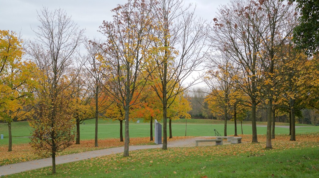 Parque recreativo de Telford que incluye hojas de otoño y un parque