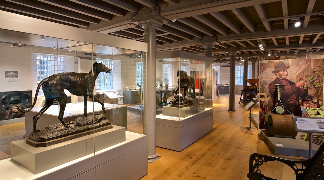 Coalbrookdale Museum of Iron featuring interior views