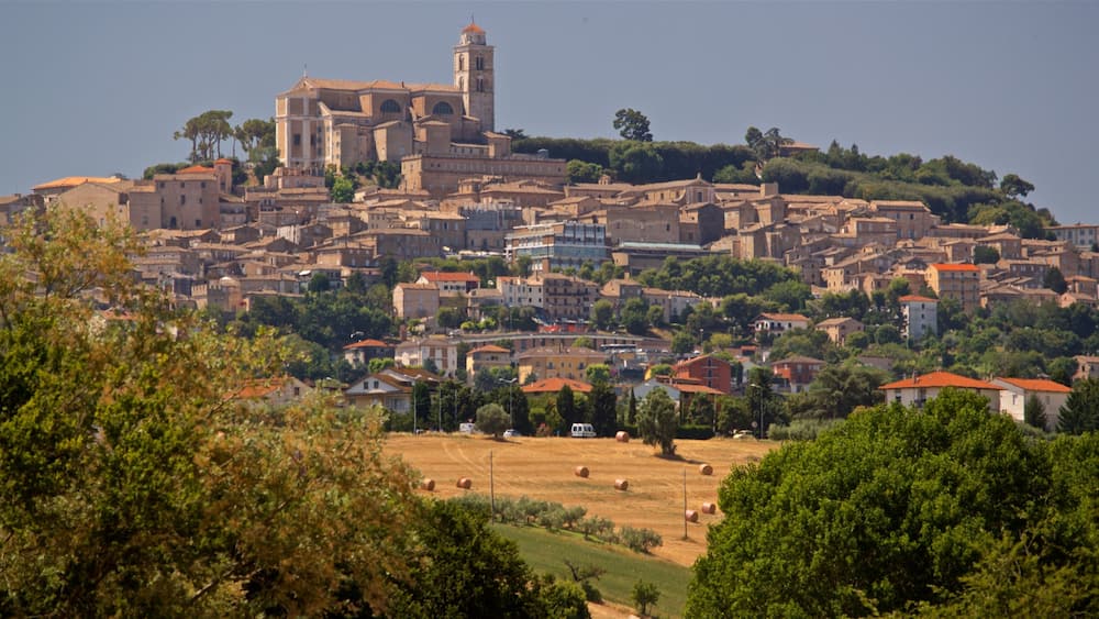 Fermo featuring landscape views, a city and farmland