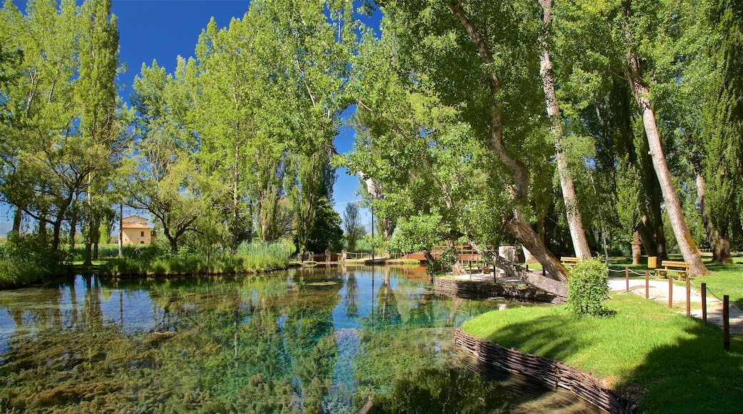 Springs of Clitunno which includes a river or creek and a park