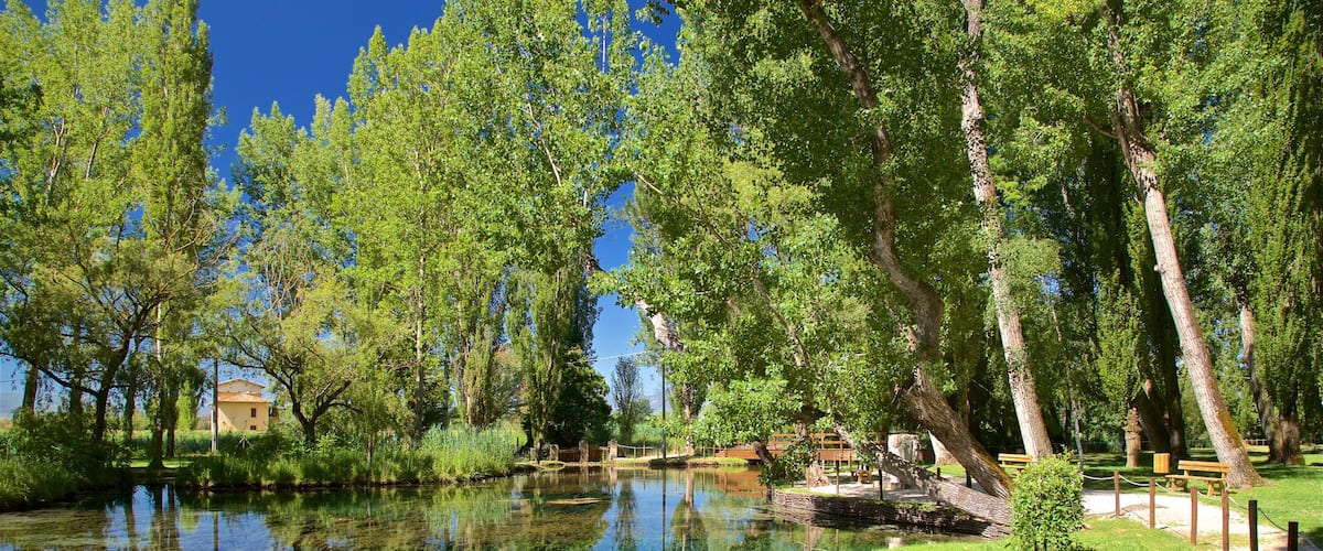 Sources du Clitunno montrant jardin et rivière ou ruisseau