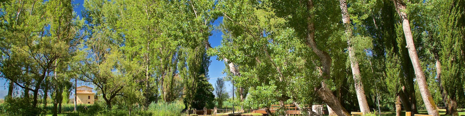 Springs of Clitunno showing a garden and a river or creek
