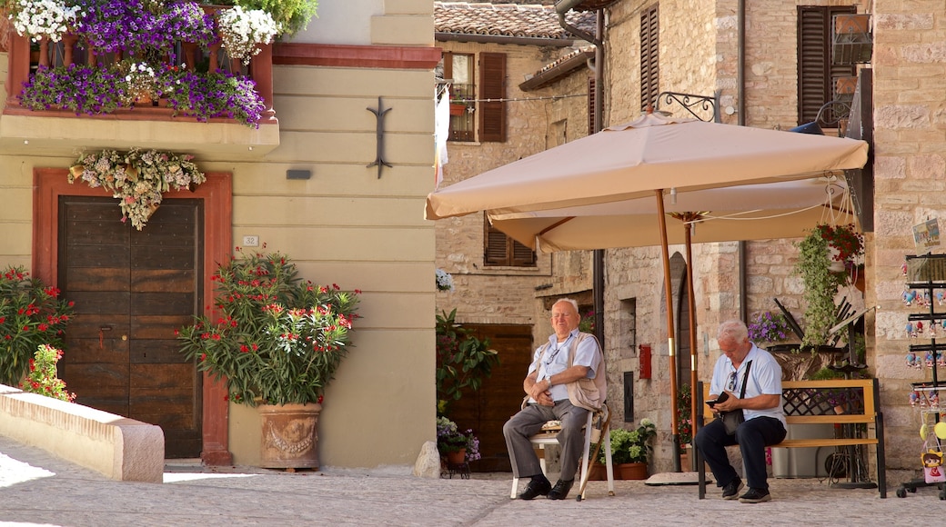 Spello mostrando strade e fiori cosi come coppia