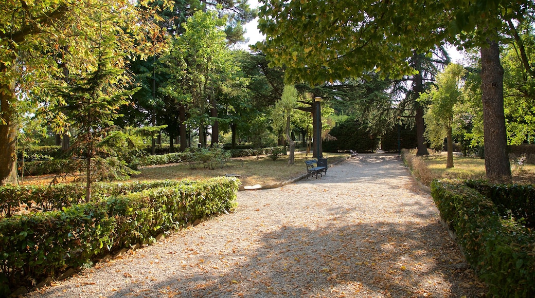 Villa Comunale dei Cappuccini which includes a garden