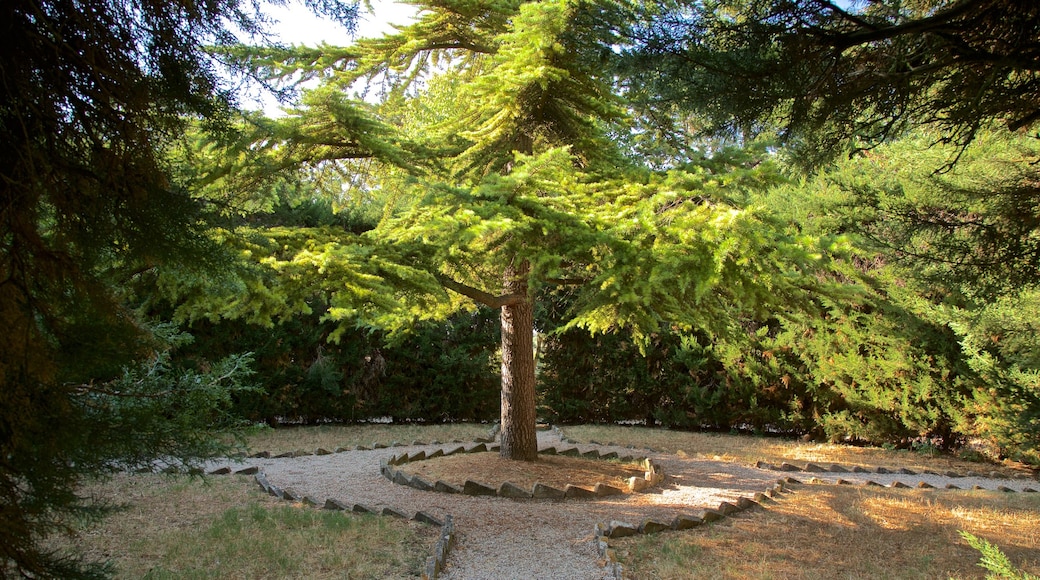 Villa Comunale dei Cappuccini presenterar en park