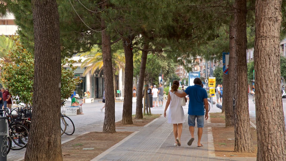 Piazza della Rinascita som viser en park såvel som et par