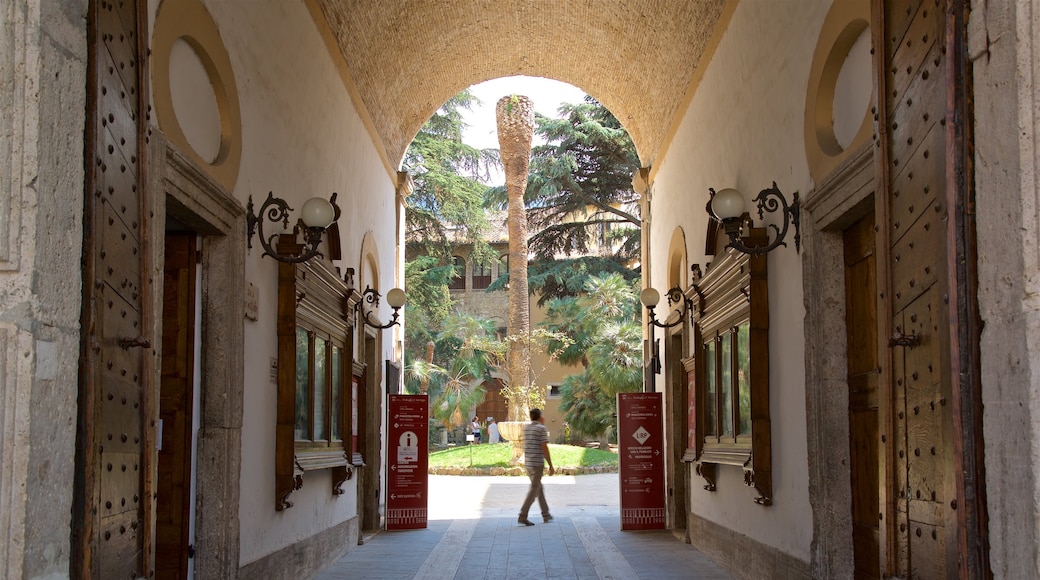 Pinacoteca Civica featuring interior views