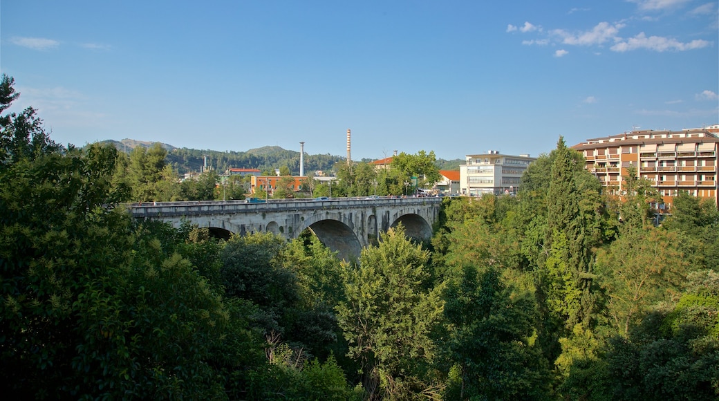 Forte Malatesta showing landscape views and a bridge