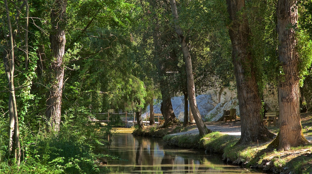 Springs of Clitunno which includes a park and a river or creek