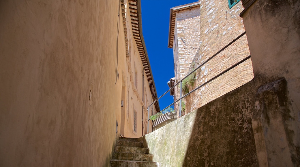 Trevi