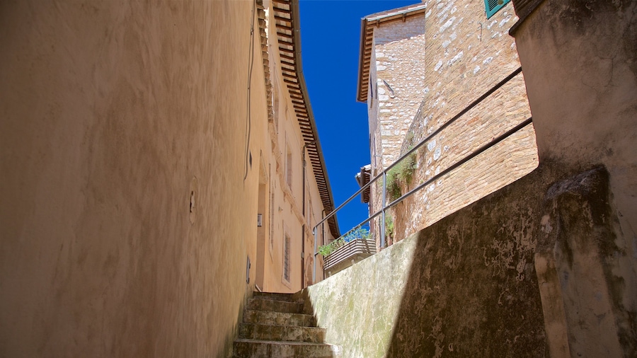 Trevi