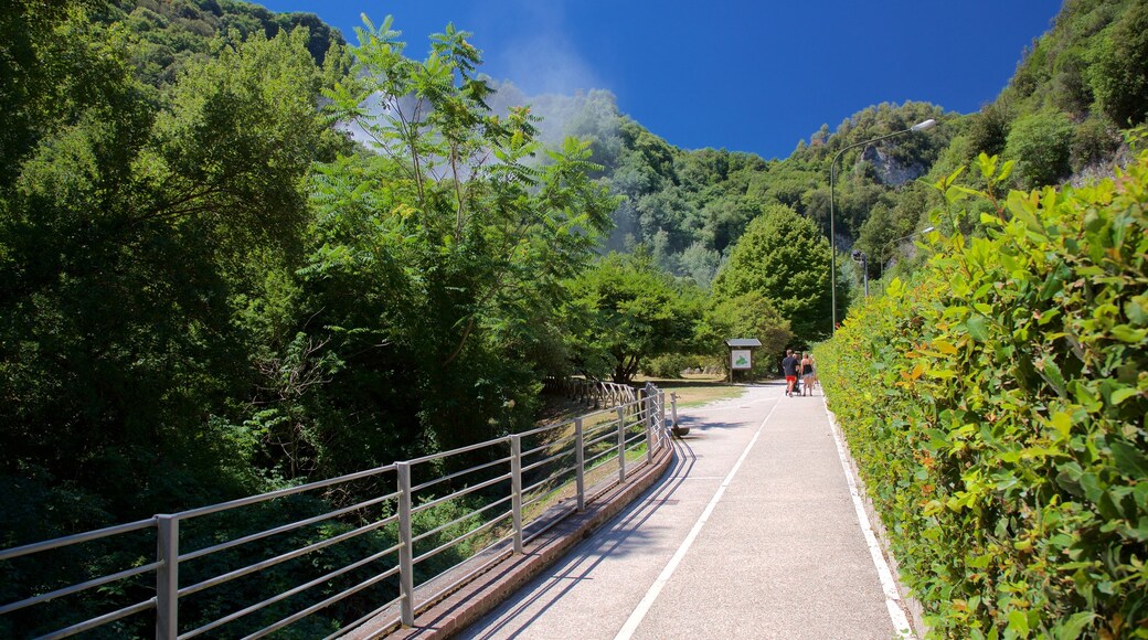 Cascata delle Marmore caratteristiche di giardino