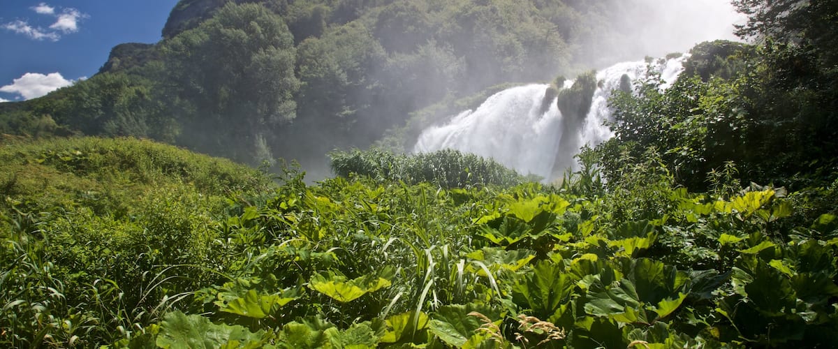 Cascata delle Marmore ofreciendo una catarata y escenas forestales