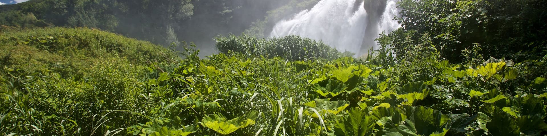 Cascata delle Marmore welches beinhaltet Kaskade und Wälder