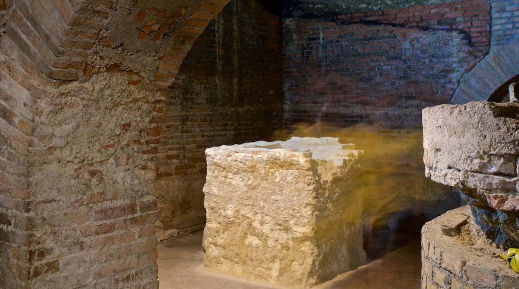 Roman Tanks showing interior views and heritage elements