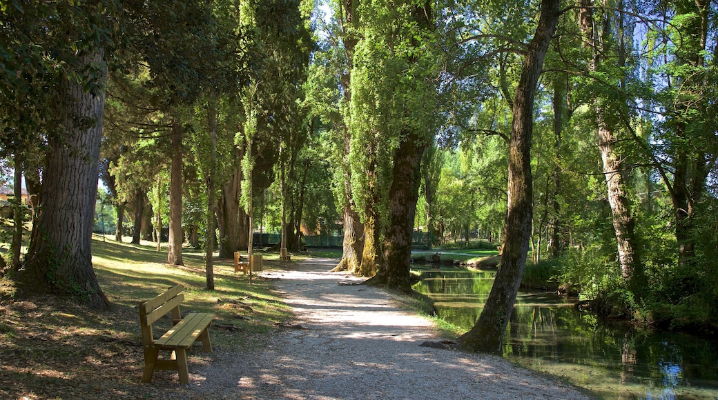 Springs of Clitunno showing a park and a pond