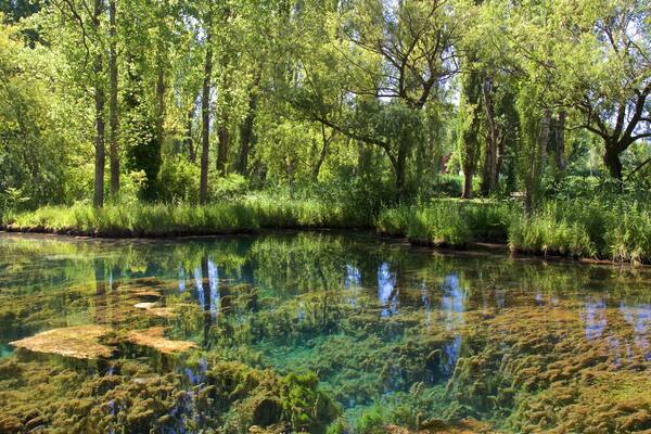 Die Quellen des Clitunno mit einem Teich