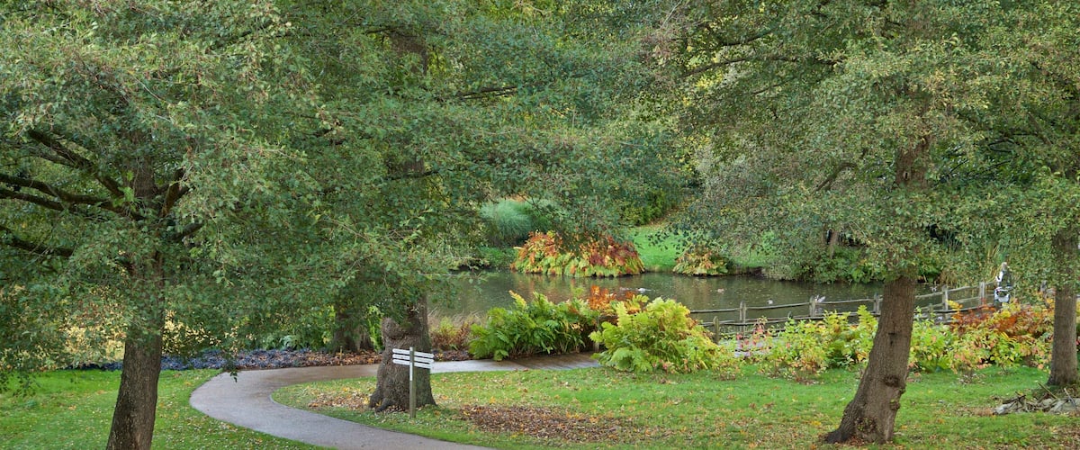 Savill Garden mit einem Park und Teich