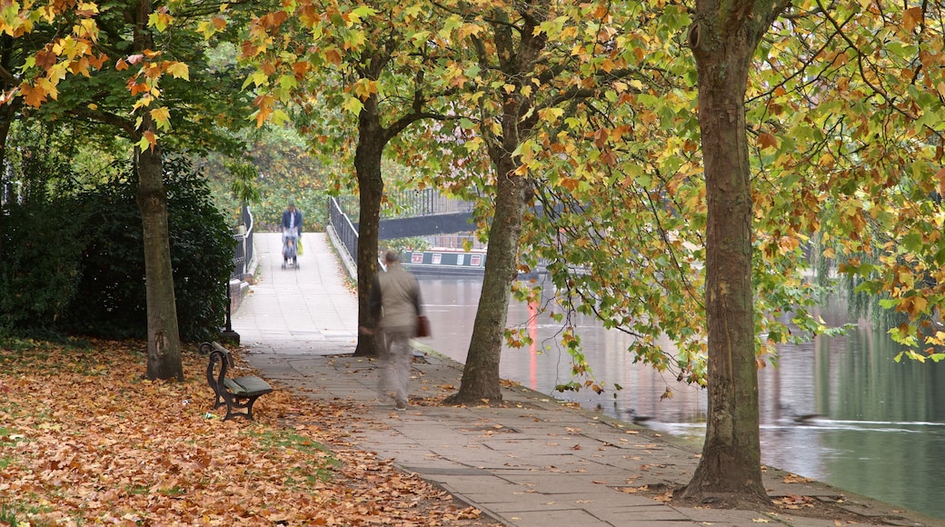 Kennet & Avon Canal che include fiume o ruscello e foglie d\'autunno