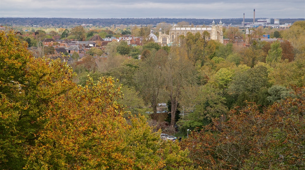 Eton showing landscape views