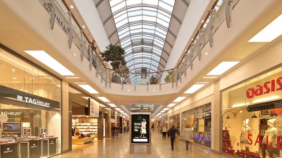 Oracle featuring interior views and shopping