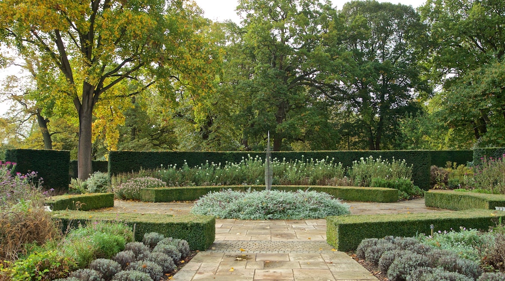 Savill Garden