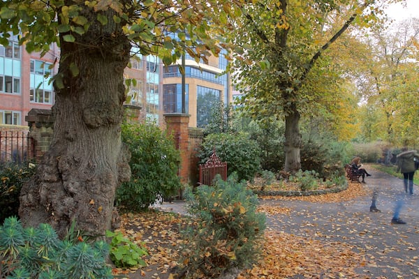 Forbury Gardens montrant jardin et feuilles d\'automne