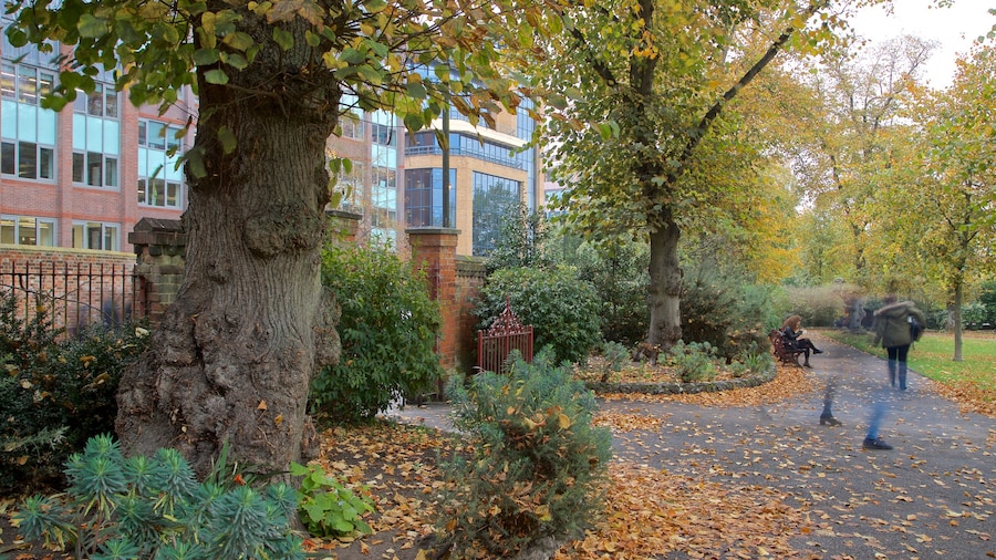 Forbury Gardens which includes autumn leaves and a garden