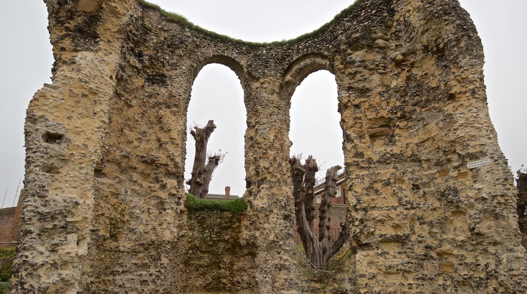 Reading Abbey Ruins showing building ruins